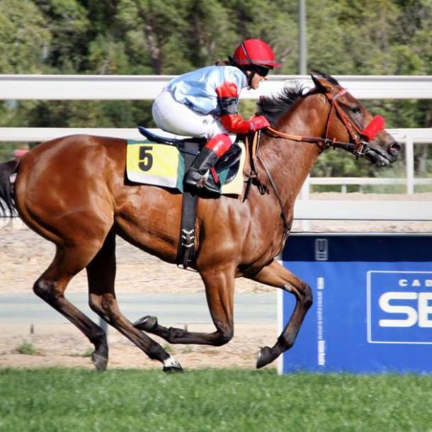 10687147_10204061237947691_8839163497929701343_n-2