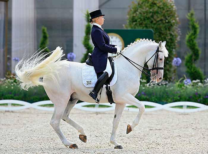 m-09-24-d2379.korelova-balagur.rus1_large