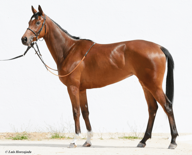 Captura de pantalla 2018-09-24 a las 20.57.37