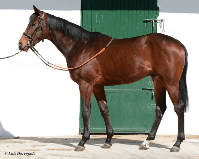 Captura de pantalla 2018-09-24 a las 21.01.42