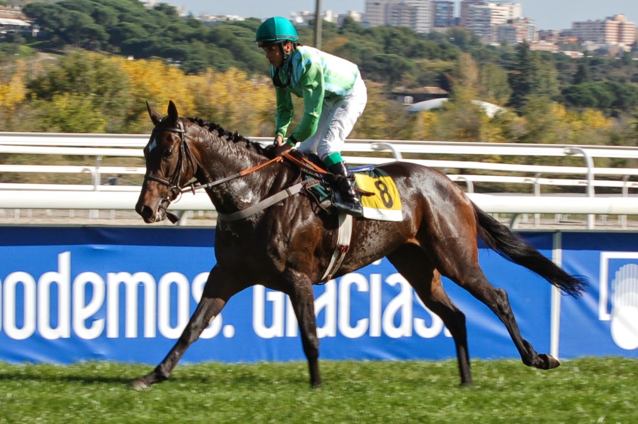 Resultado de imagen de figueiras turf