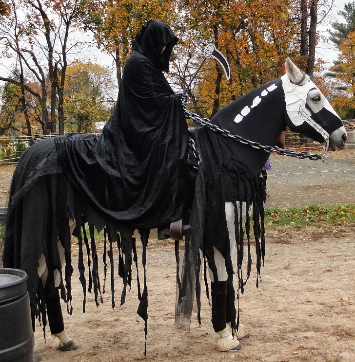 Halloween-costumes-for-horses-DIY-ideas-creative-Haloween-costume-ideas