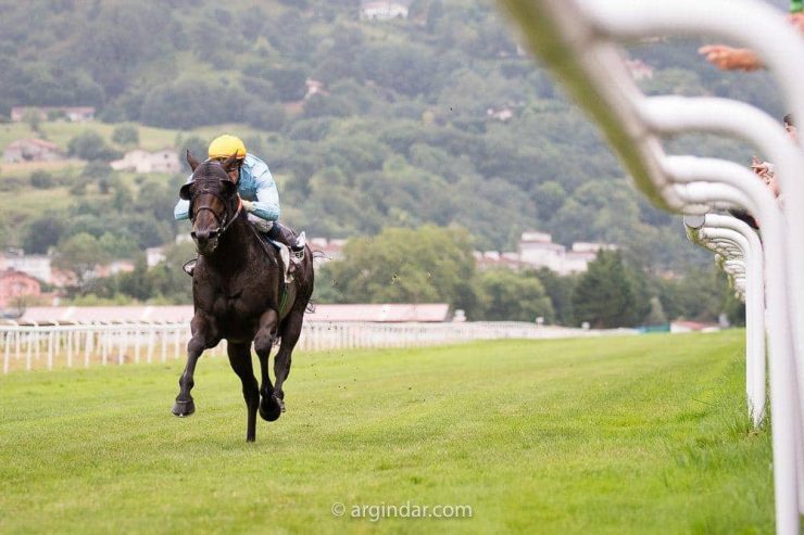 47262104_946466178886100_3833966611916652544_n