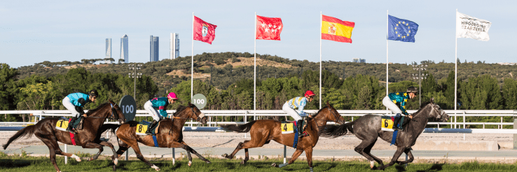cabecera-carreras-y-apuestas-1