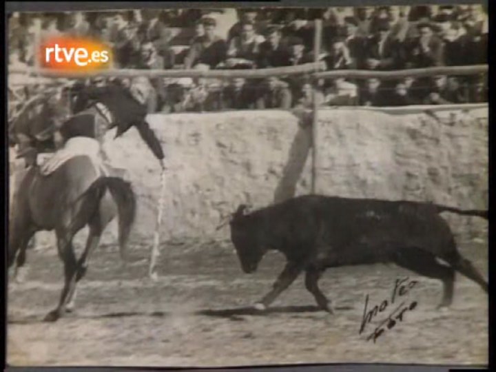 60334119_2405328059747035_5014346216108982272_n