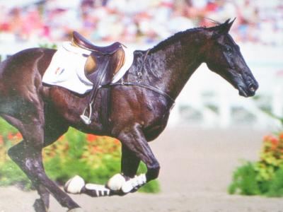 btxsh4HgxpJqu1EMKtav5ZWjwbQ