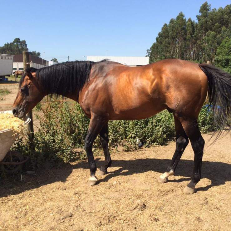 38bd0bf0-bd25-480d-aa9b-ecb3b86ce120