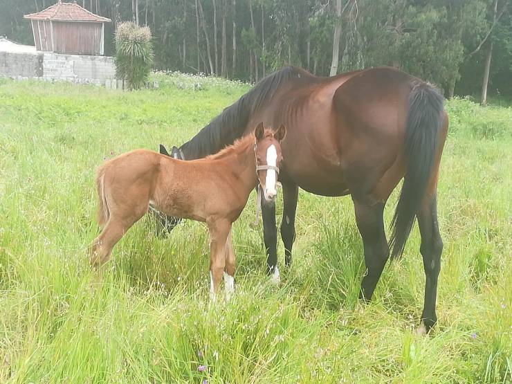 39558a81-c8ec-4426-87c6-2cce132cdd54