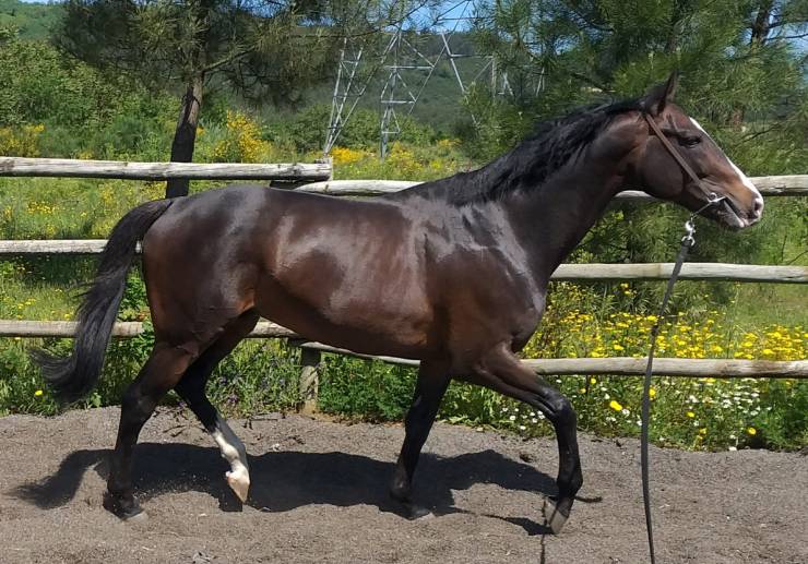 8fead96d-d2c2-4783-bb21-eba35aded7bf