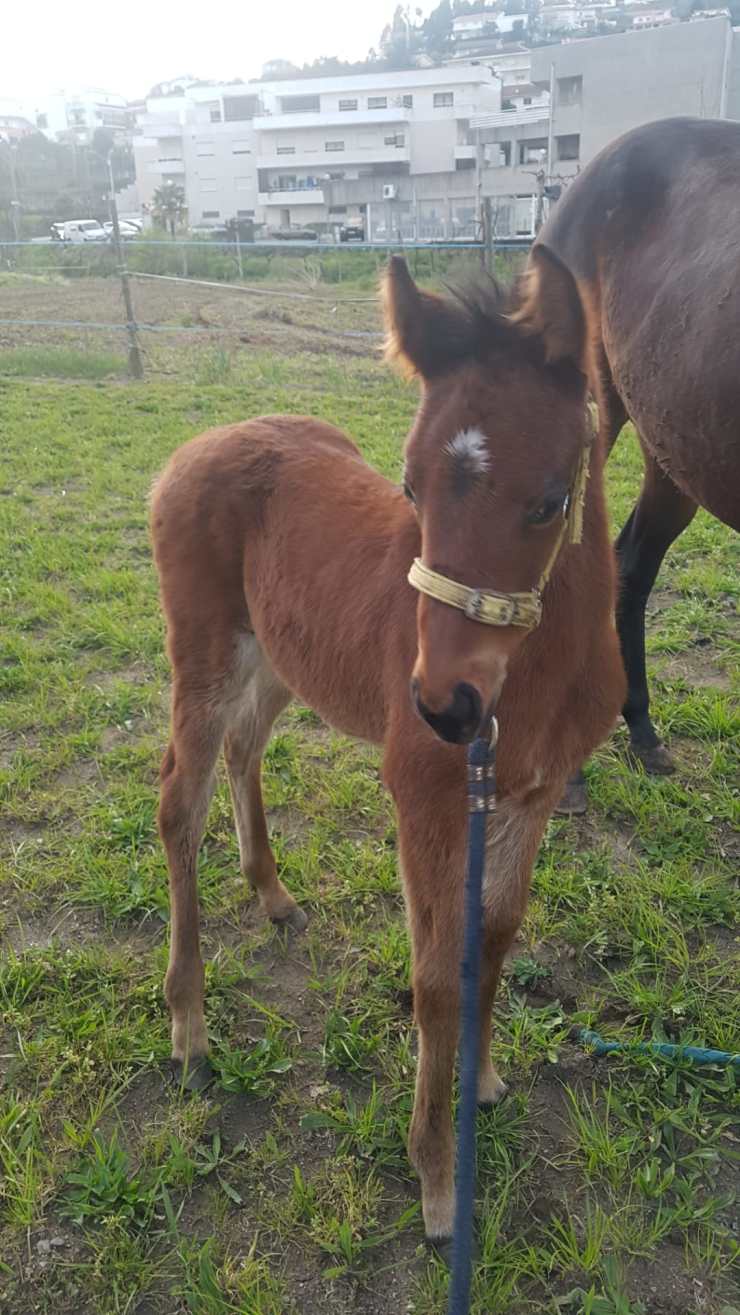 ab4c6ea1-83d2-4833-bf67-9d217a8e5039