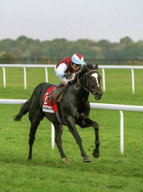 6c1e867c2a3dc3555b35e30489b6f075