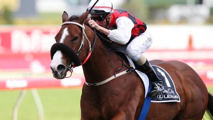 aff7cc43b65854e0f435814e1971a87d